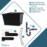 TEHILA Black Thermoplastic Wall Mounted Utility Sink Kit 23.5"