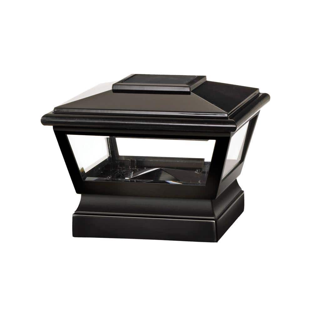 A single green leaf against a white background.