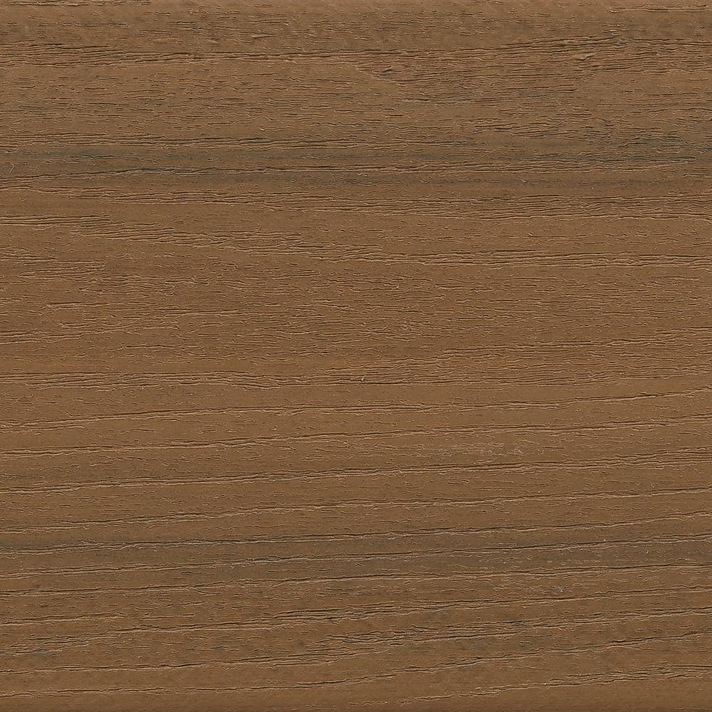 A single green leaf against a white background.