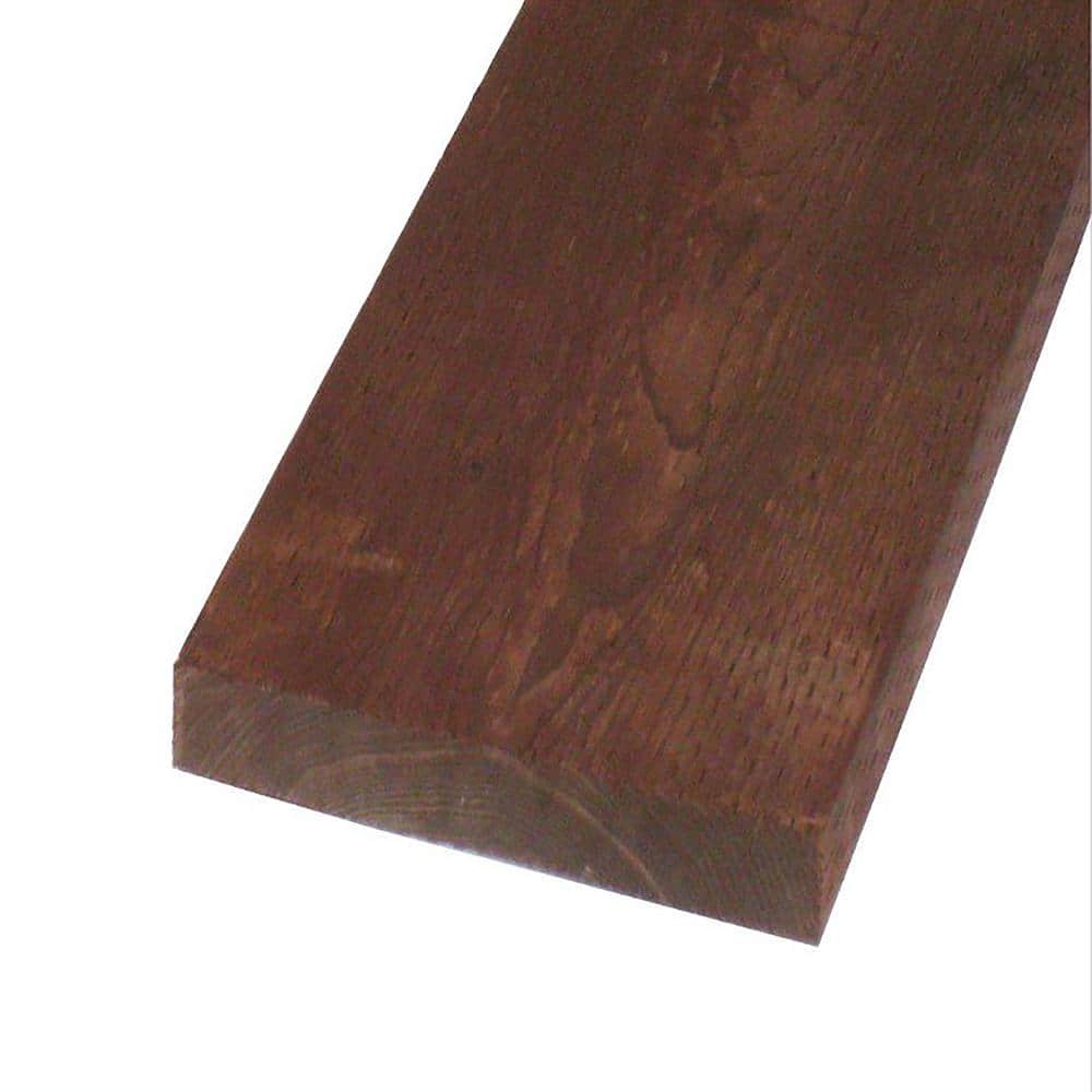 A single green leaf against a white background.