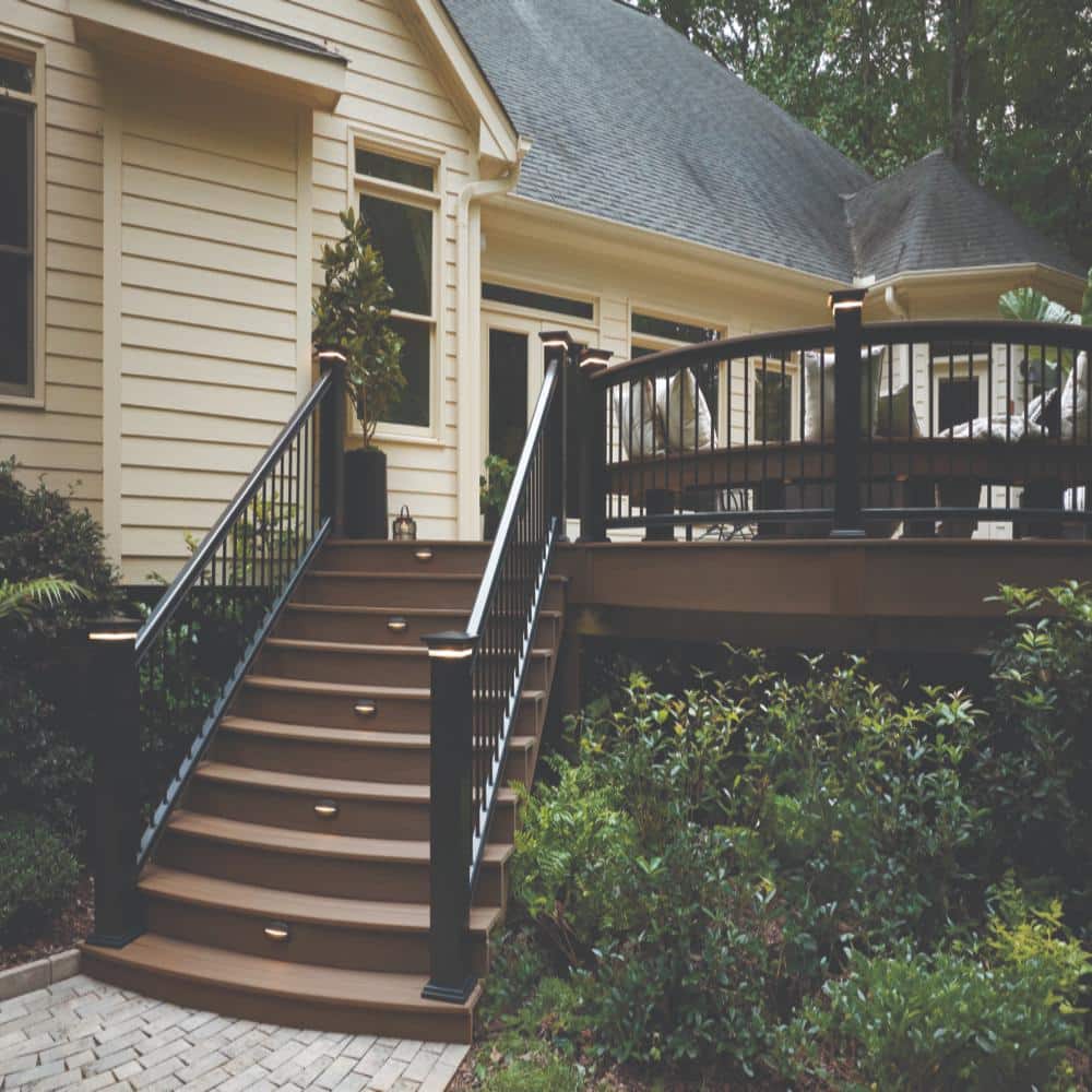 A single green leaf against a white background.