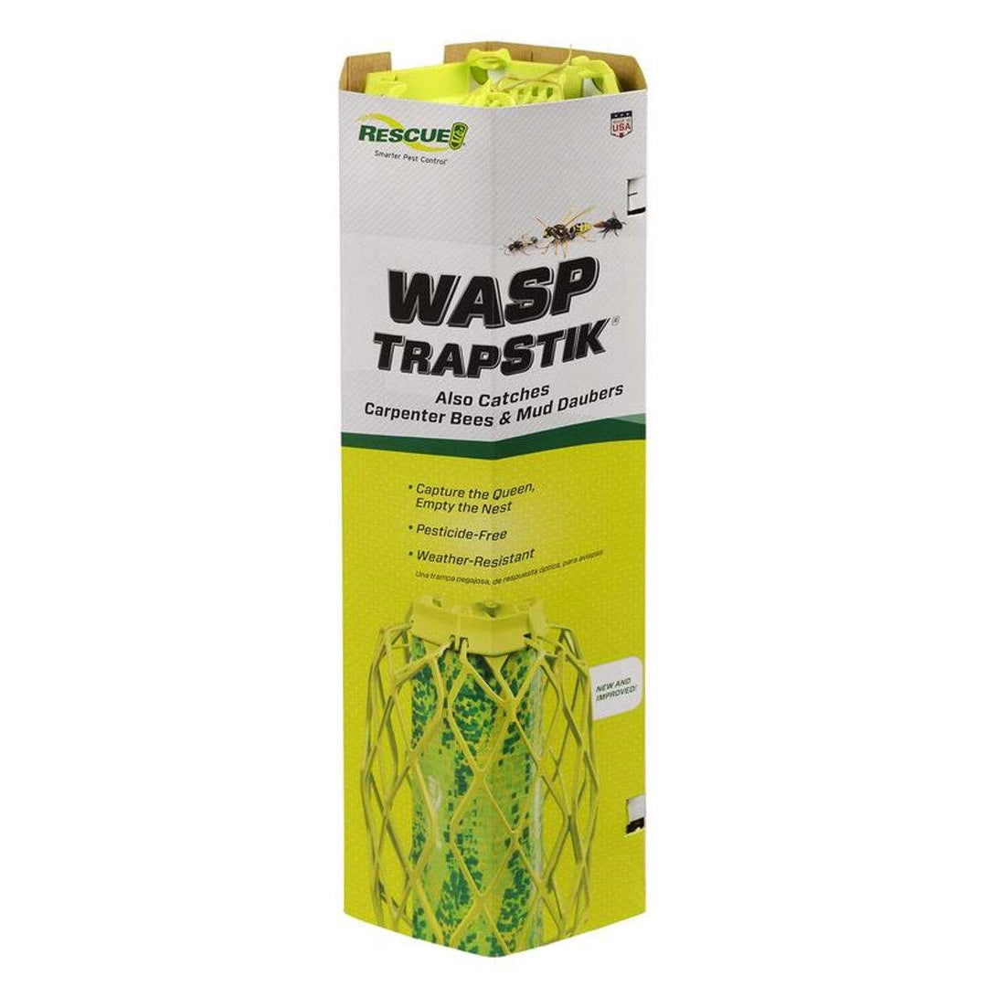 RESCUE TrapStik Insect Trap 1 pk – Super Arbor