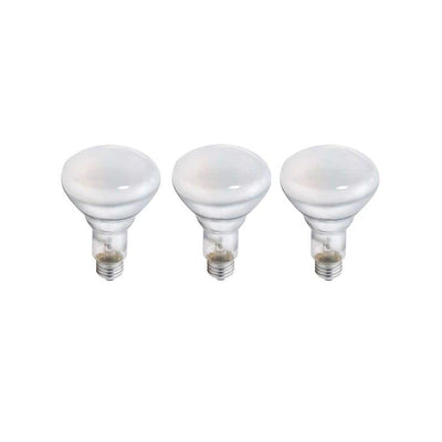 Philips 45-Watt BR30 Incandescent Duramax Flood Light Bulb (3-Pack)