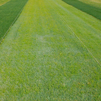 EZ Hybrid Turf 6-1/2 x 10 ft. Artificial Grass