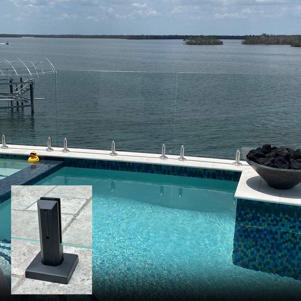 A single green leaf against a white background.