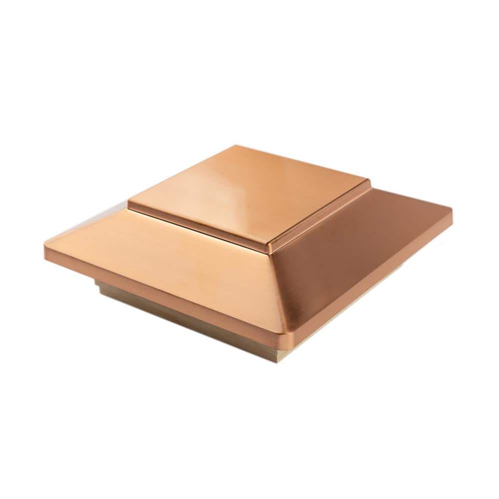 A single green leaf against a white background.