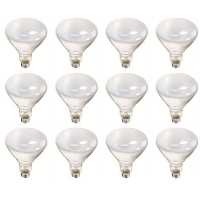 Philips 65-Watt BR40 Incandescent Flood Light Bulb Soft White (2700K) (12-Pack)