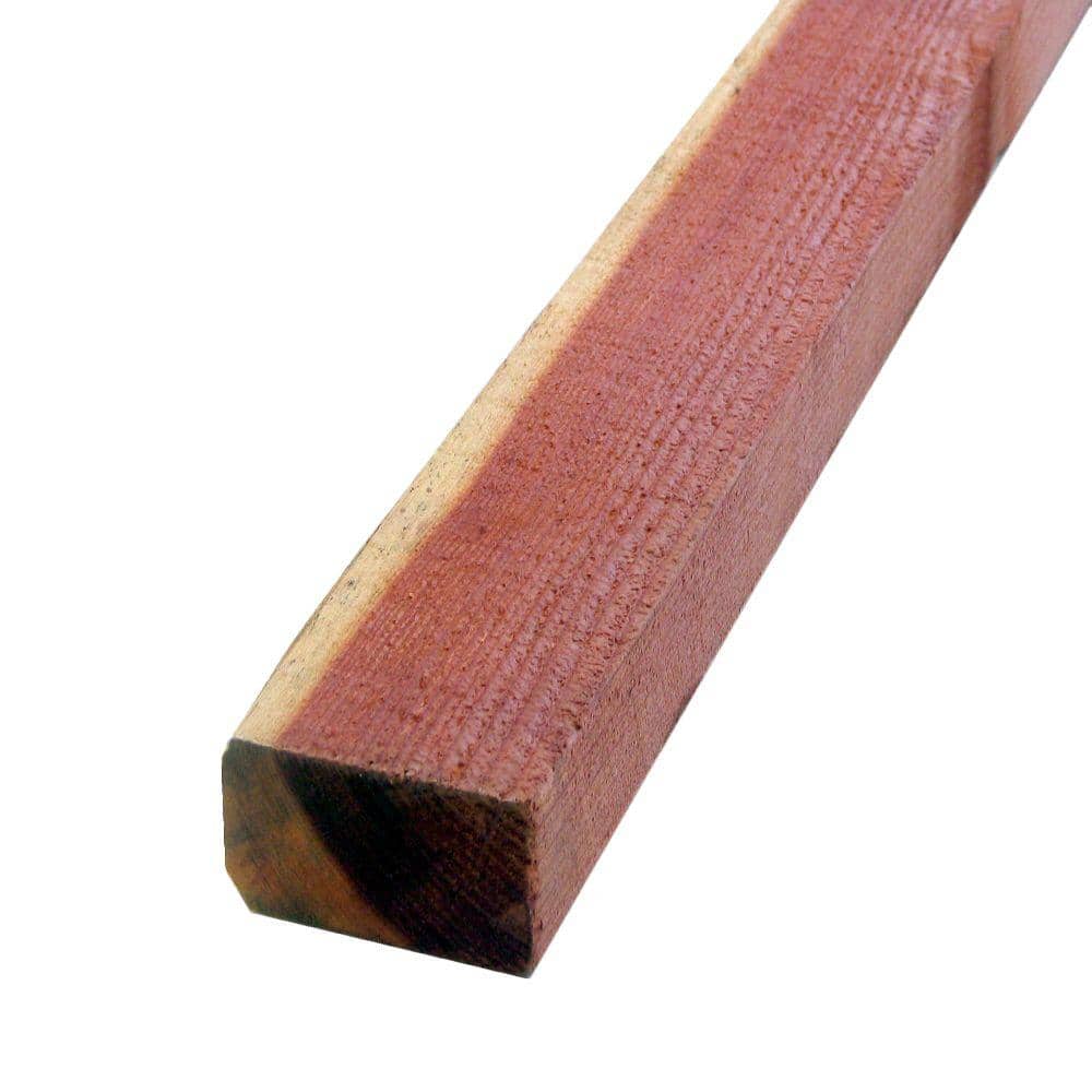 A single green leaf against a white background.