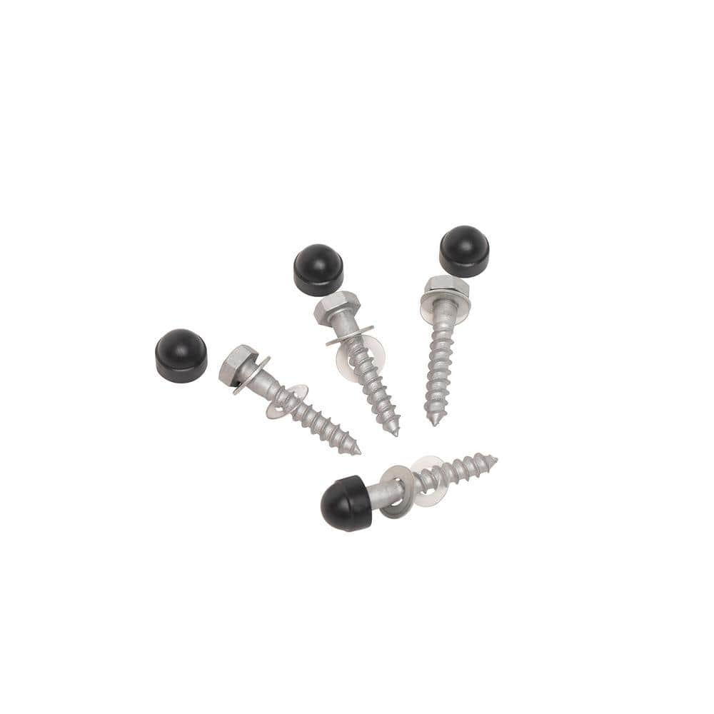 A single green leaf against a white background.