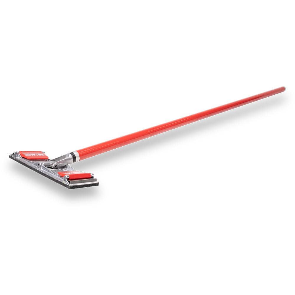 A single green leaf against a white background.