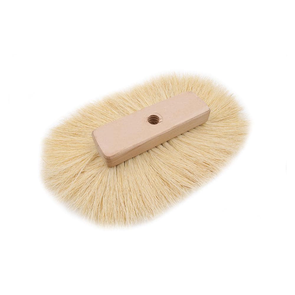 A single green leaf against a white background.