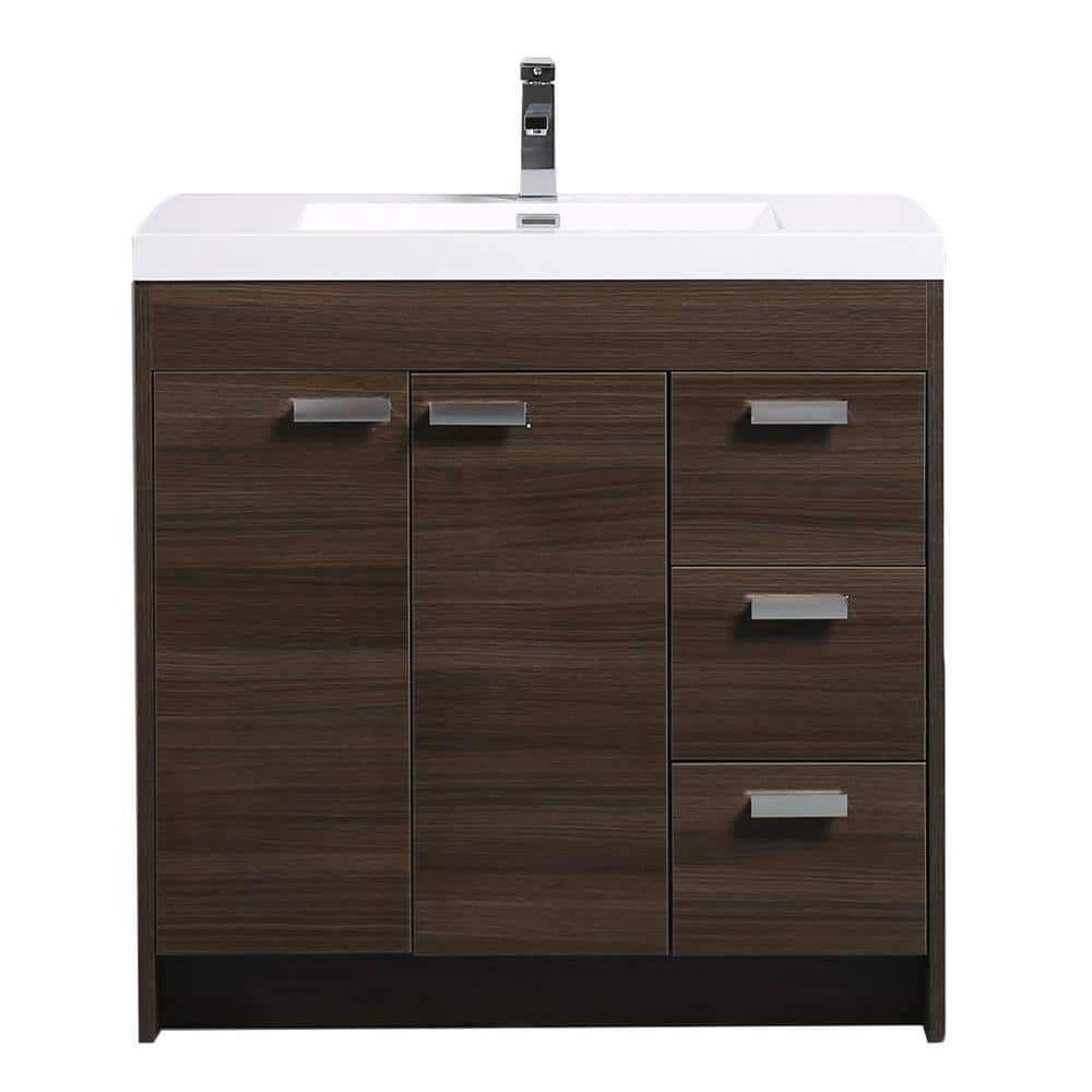 A single green leaf against a white background.