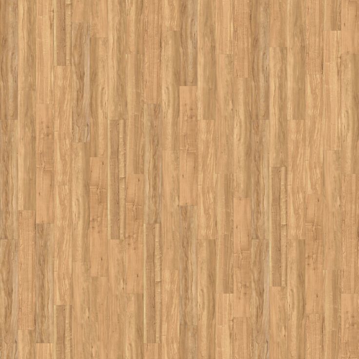 A single green leaf against a white background.