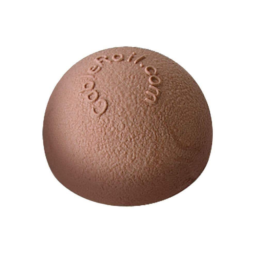 A single green leaf against a white background.