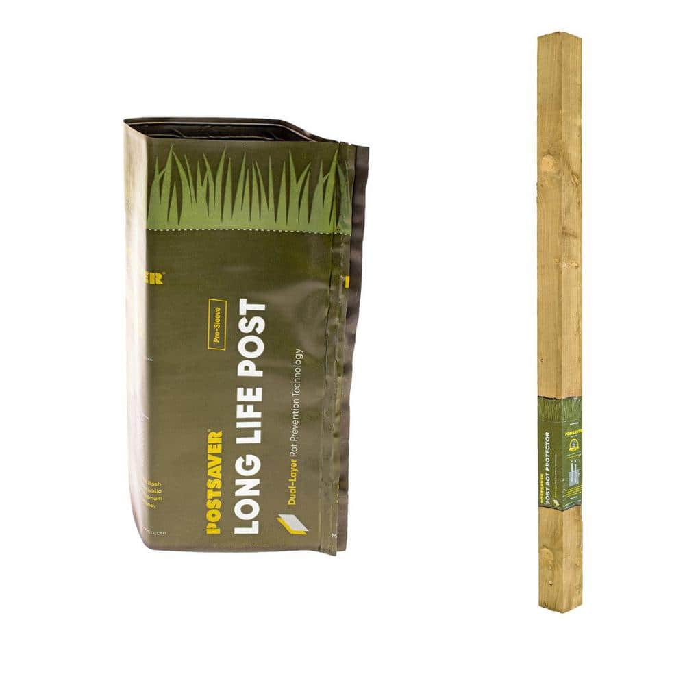 A single green leaf against a white background.