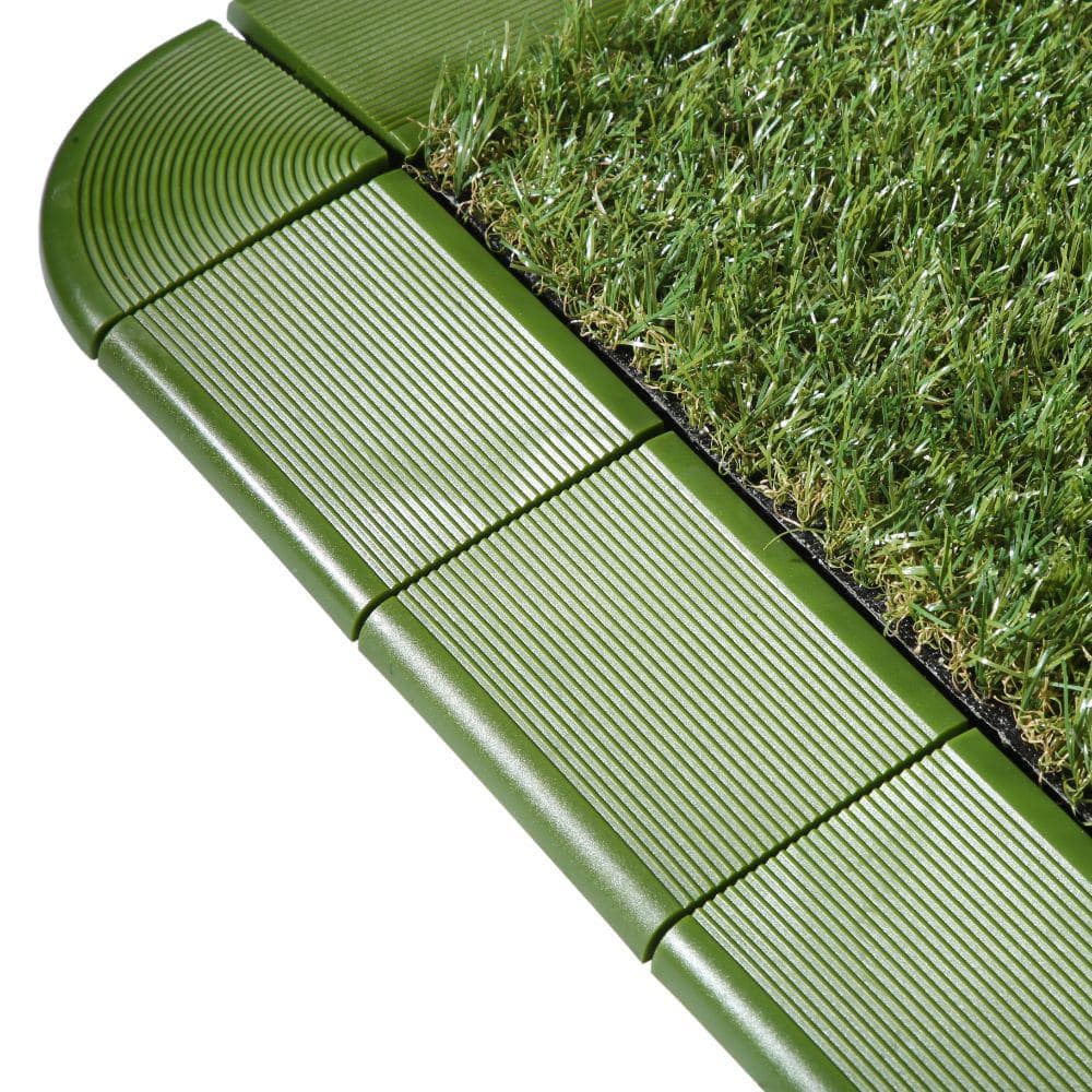 A single green leaf against a white background.