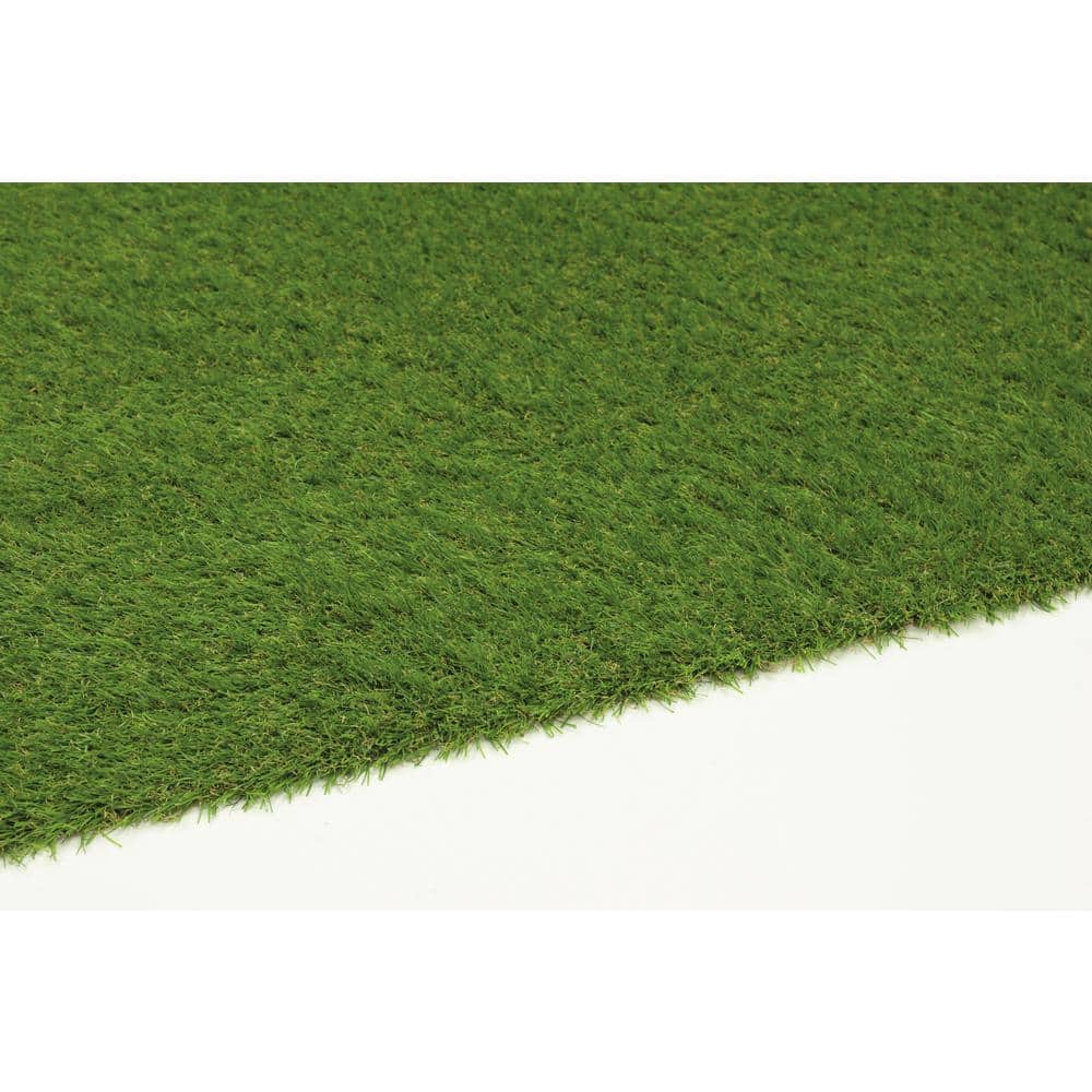 Nance Carpet and Rug Turf 6 ft. x 9 ft. Green Artificial Grass Rug