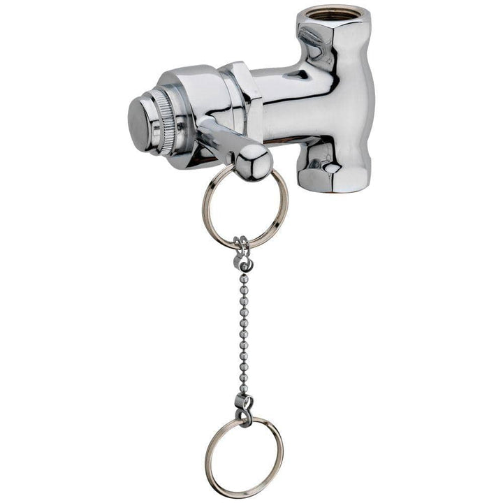 Homewerks Worldwide Self-Closing Shower Valve with Pull Chain, Chrome