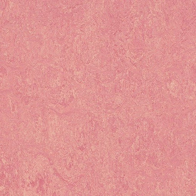 Forbo Marmoleum Cinch Loc Seal Honeysuckle 11.81" x 35.43" Linoleum Panel (20.34 sq.ft/case)