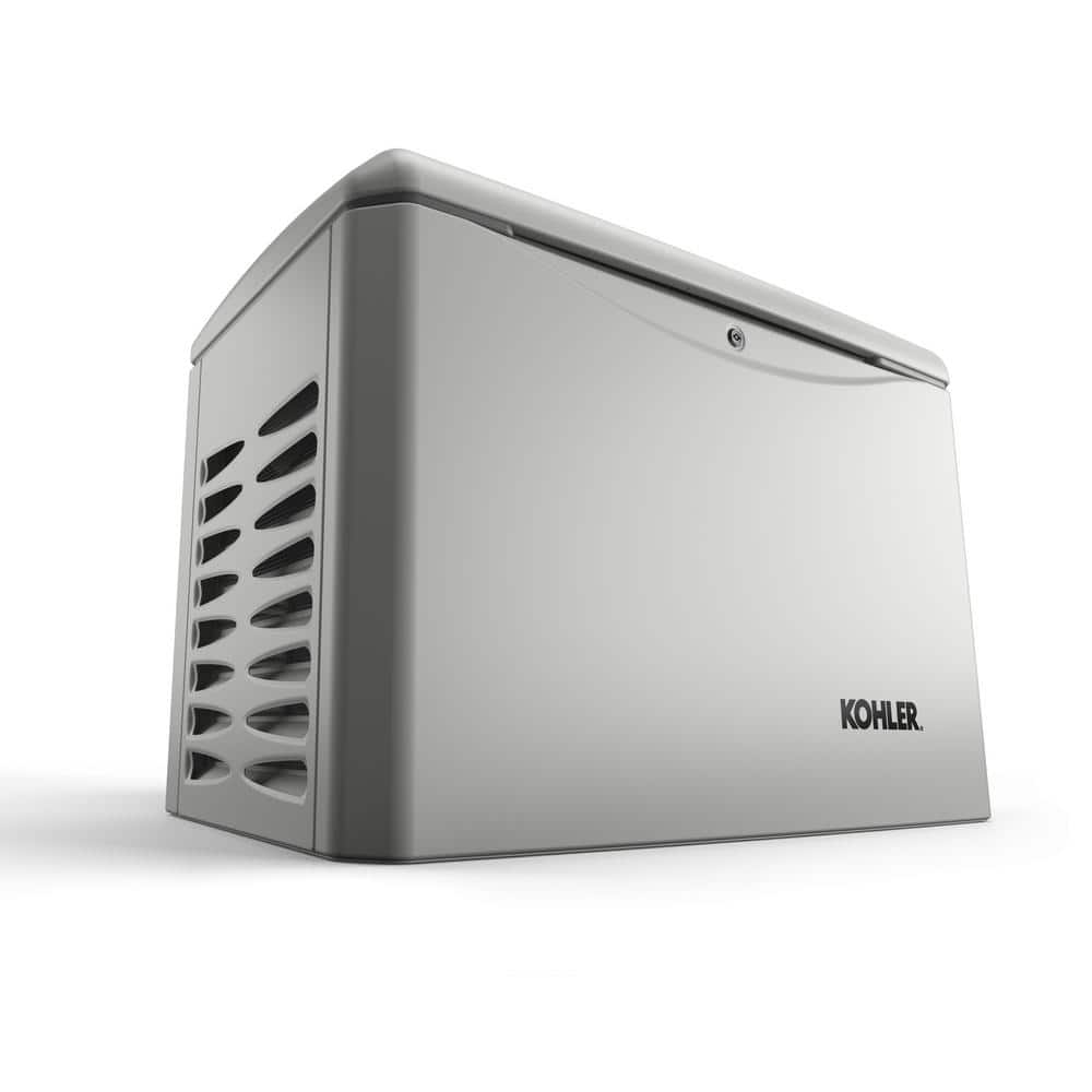 A single green leaf against a white background.