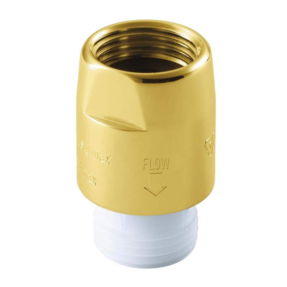 A single green leaf against a white background.