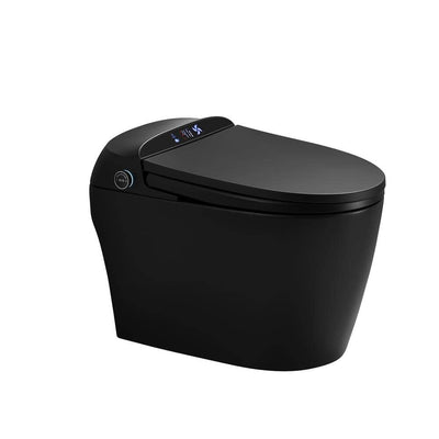 Staykiwi Matte Black Elongated Bidet Toilet 1.28 GPF with Adjustable Sprayer, Deodorizing, Soft Close