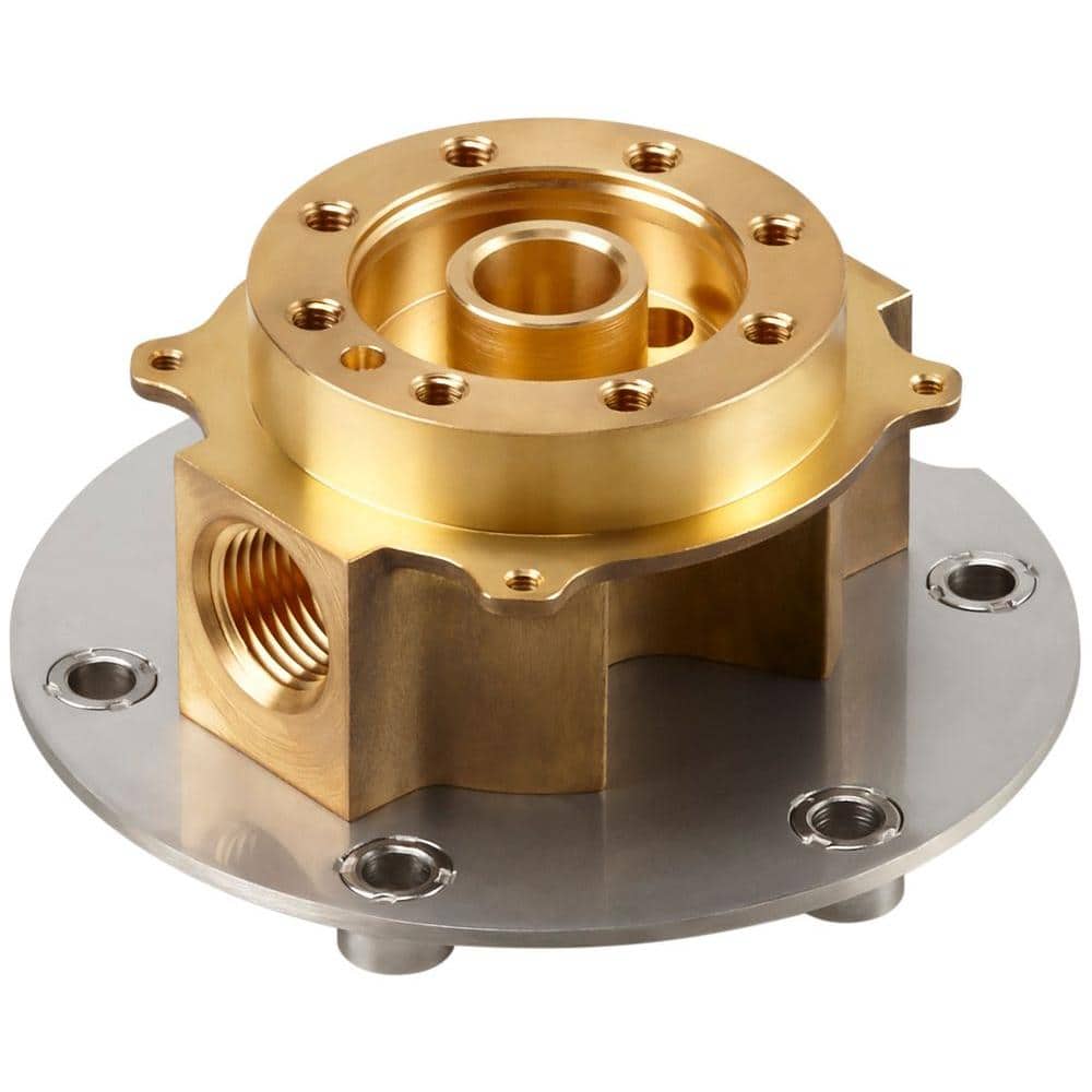 A single green leaf against a white background.