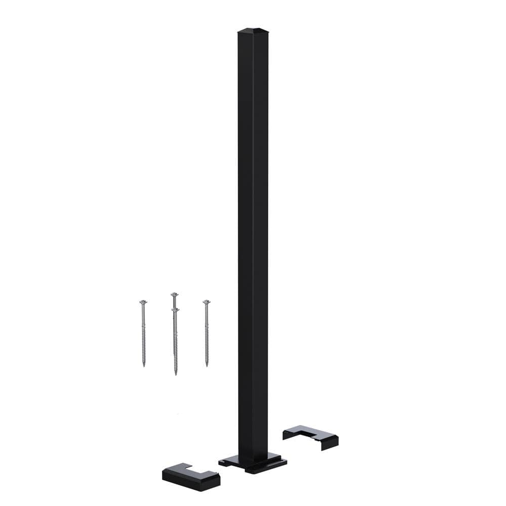 A single green leaf against a white background.