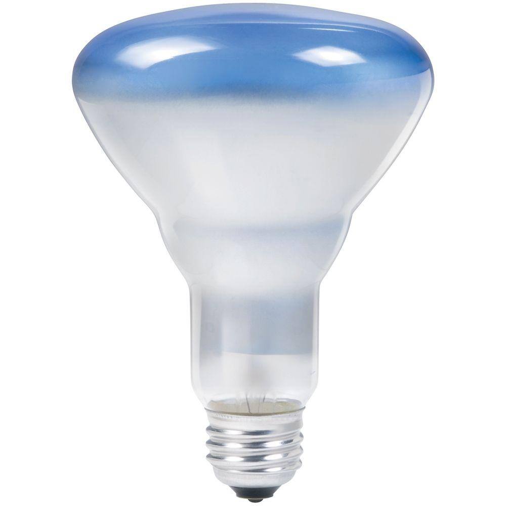 120-watt br40 agro plant flood grow light bulb Philips 75-Watt BR30 Incandescent Agro Plant Grow Flood Light Bulb