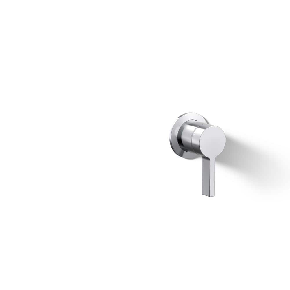 A single green leaf against a white background.