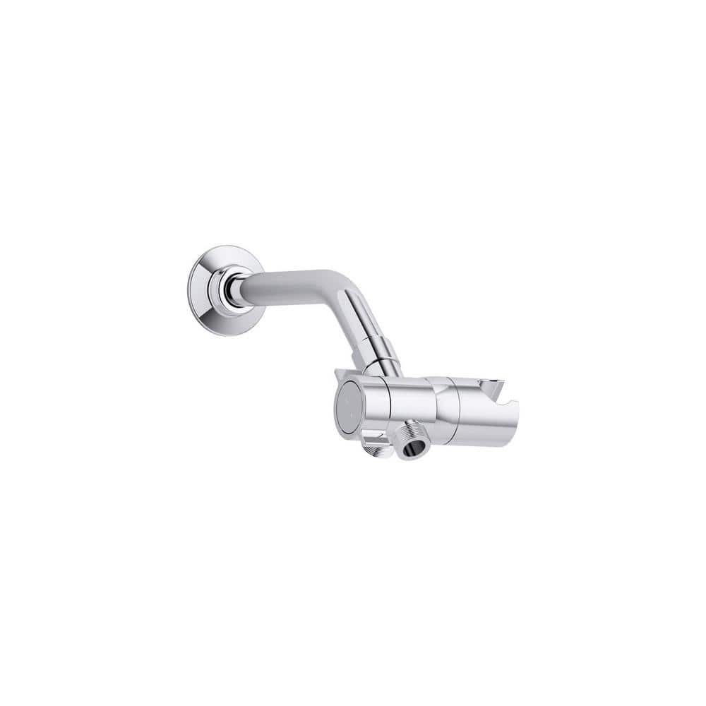 A single green leaf against a white background.