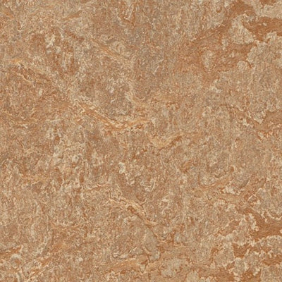 Forbo Marmoleum Cinch Loc Seal Shitake 11.81" x 35.43" Linoleum Panel (20.34 sq.ft/case)