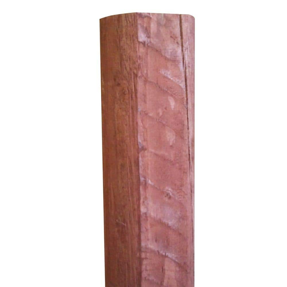 A single green leaf against a white background.