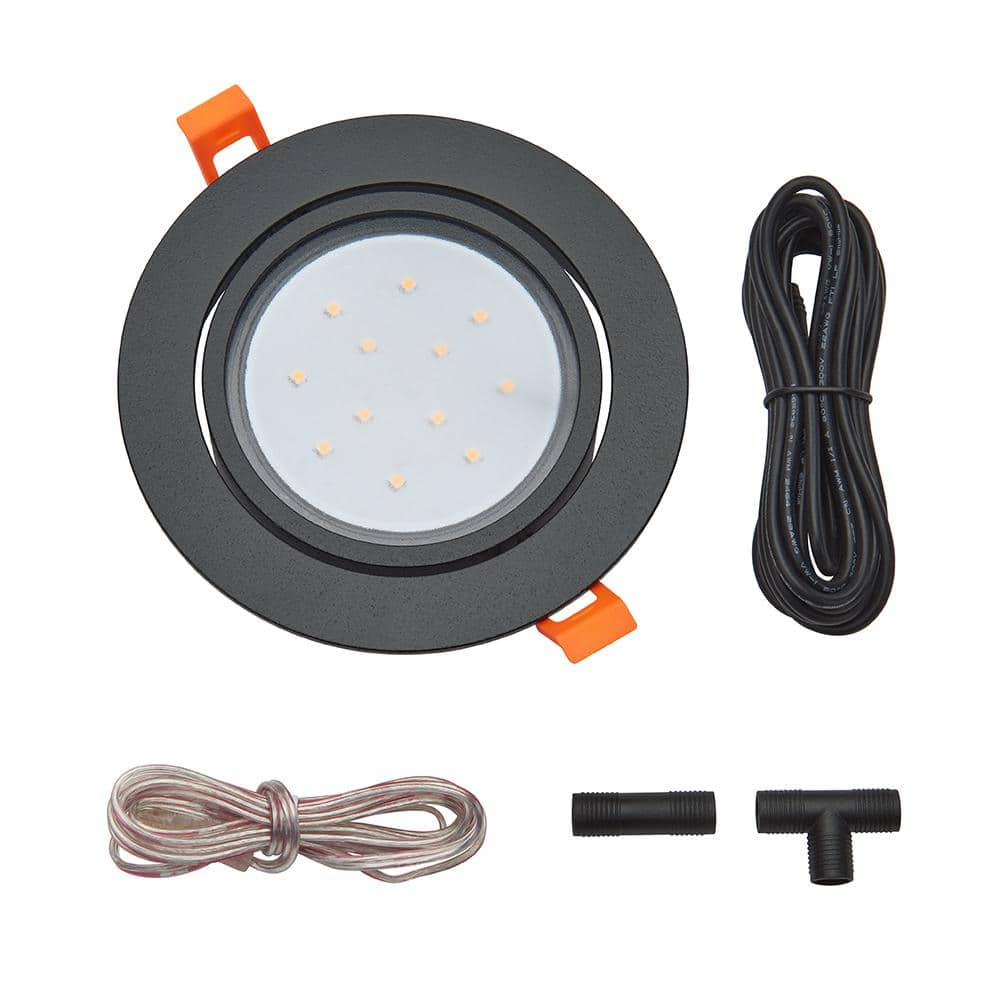 A single green leaf against a white background.