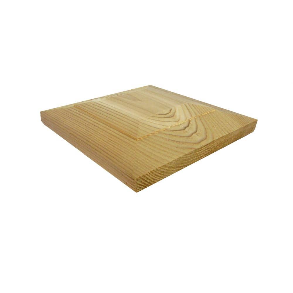 A single green leaf against a white background.