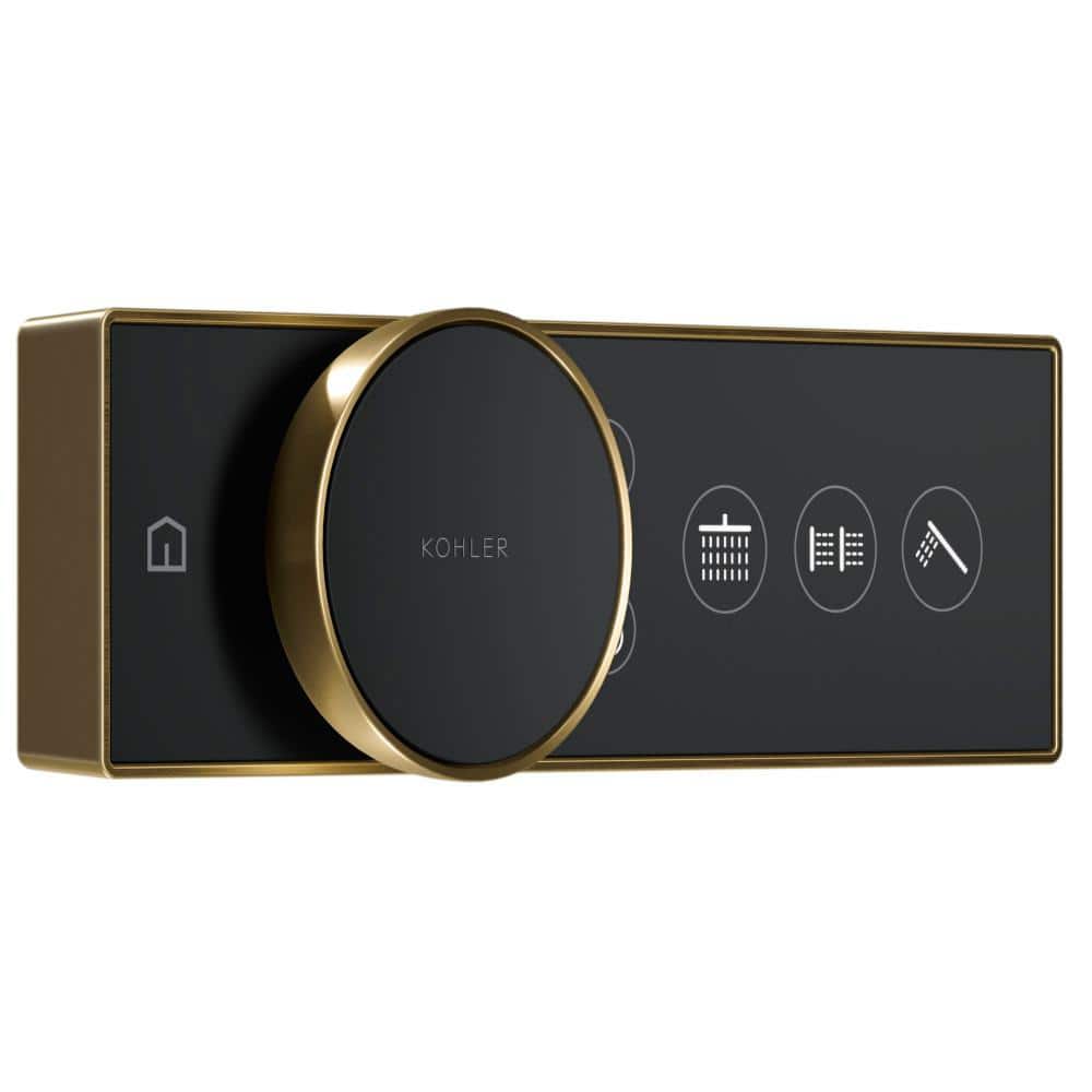 A single green leaf against a white background.