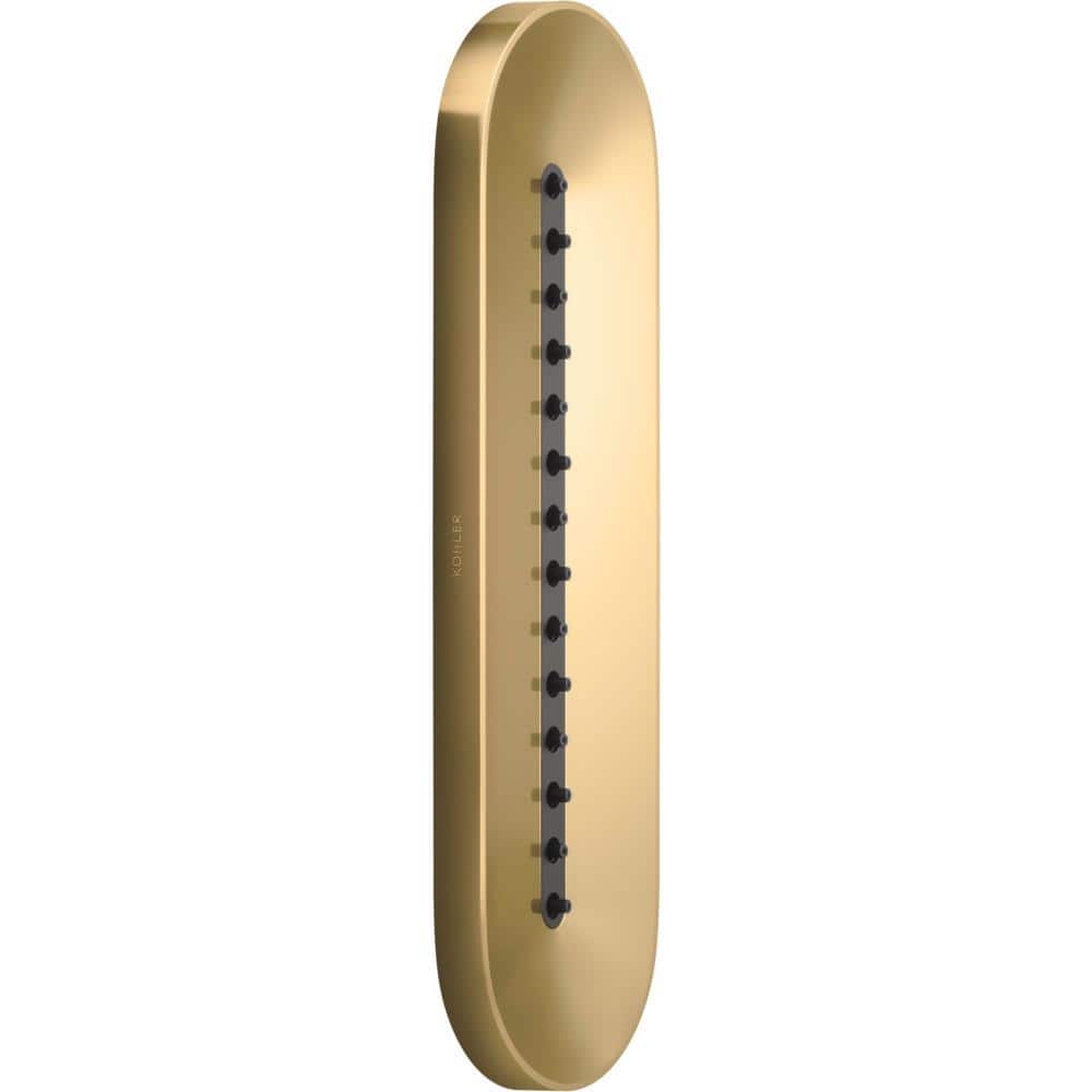 A single green leaf against a white background.