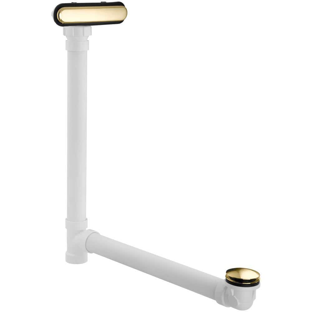 A single green leaf against a white background.