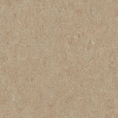 Forbo Marmoleum Cinch Loc Seal Weathered Sand 11.81" x 35.43" Linoleum Panel (20.34 sq.ft/case)