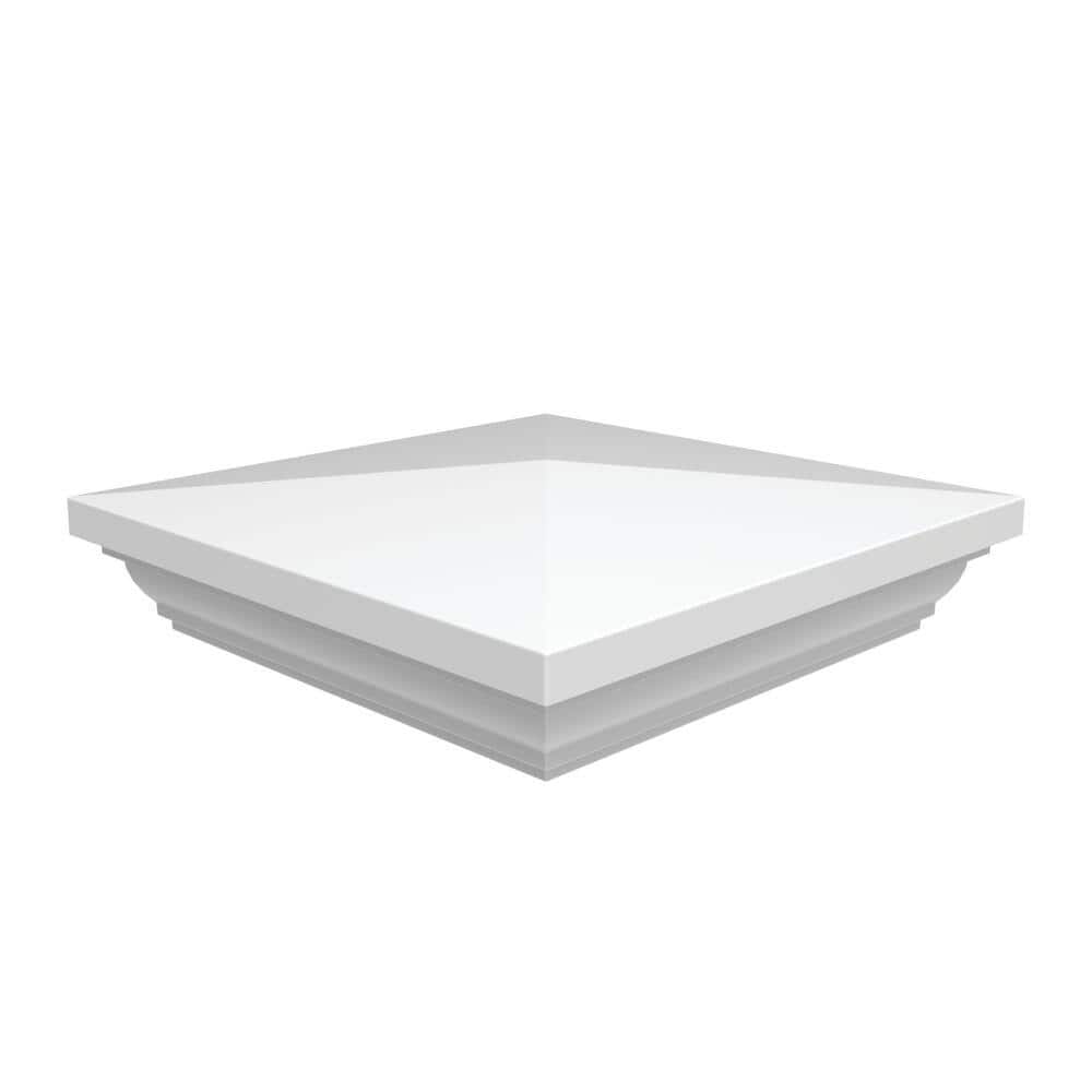 A single green leaf against a white background.