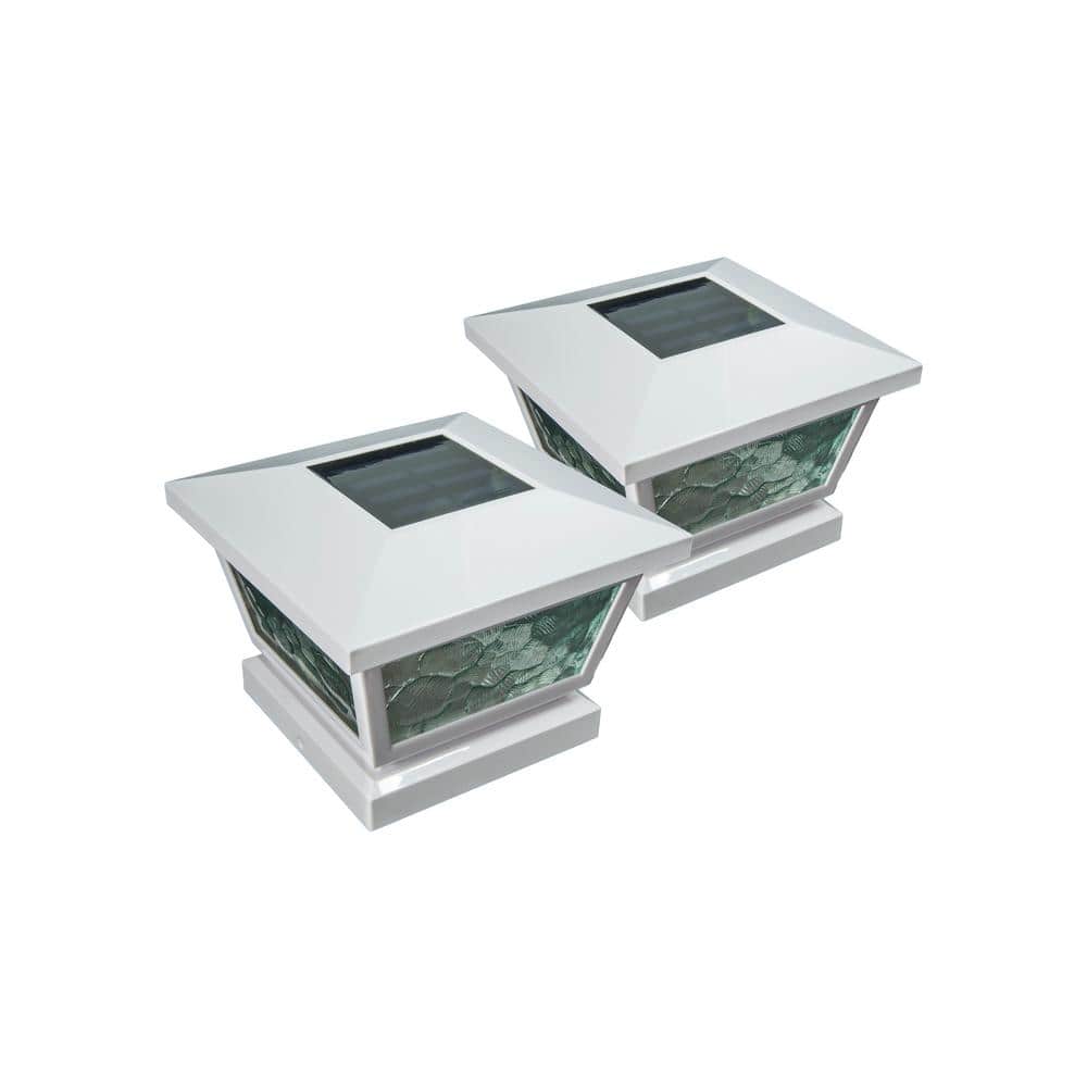 A single green leaf against a white background.