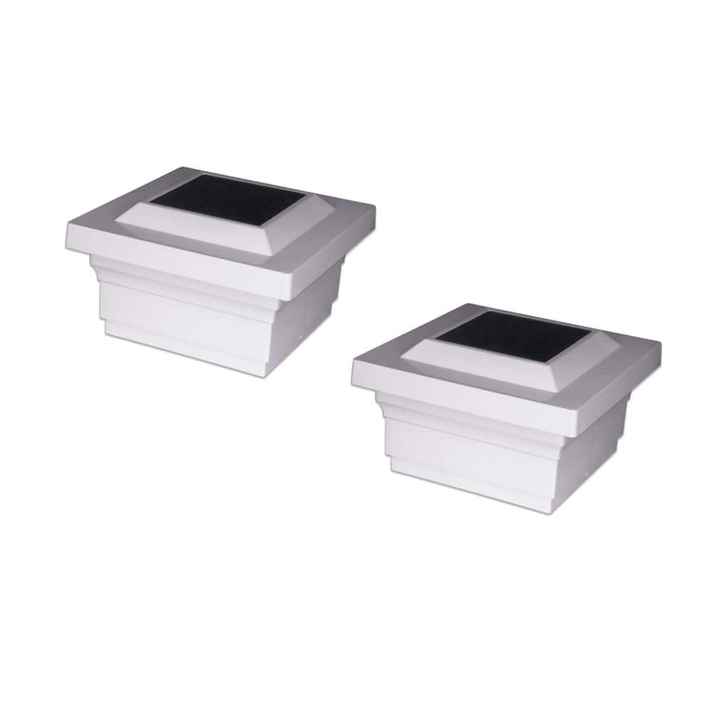 A single green leaf against a white background.