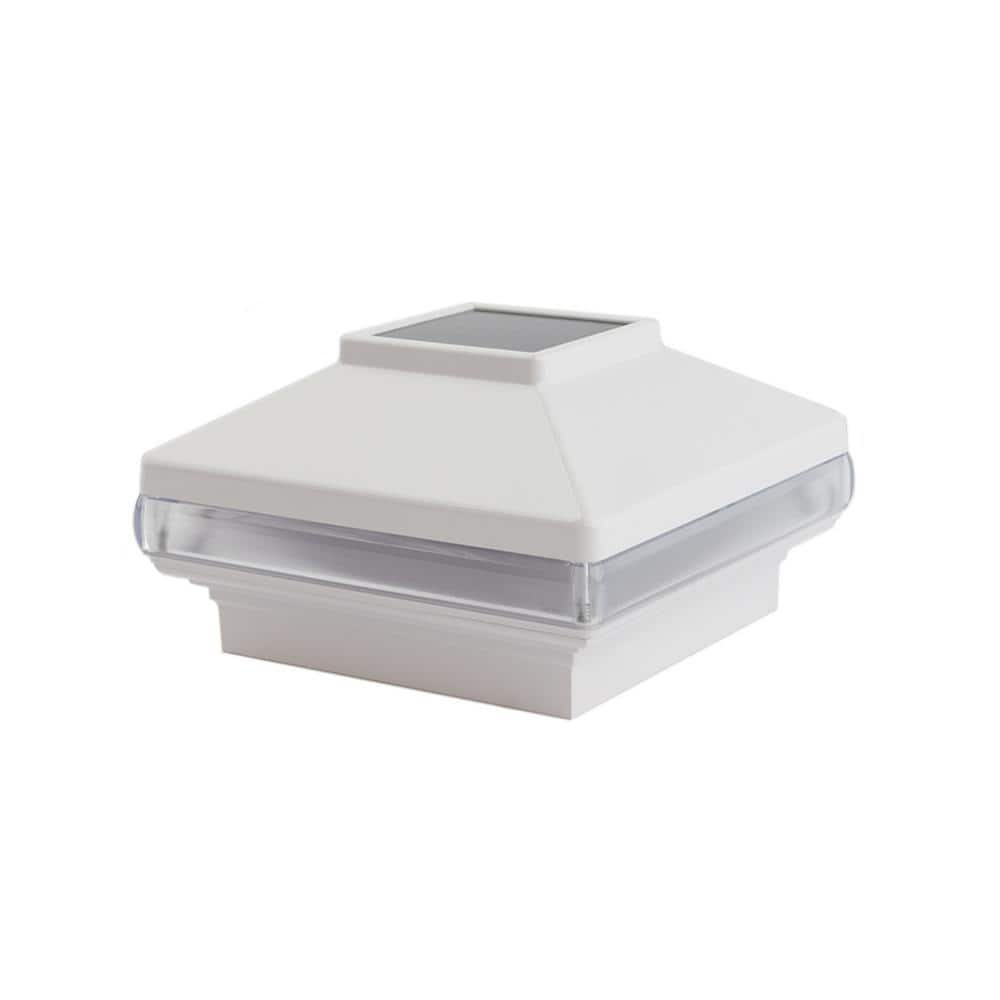 A single green leaf against a white background.