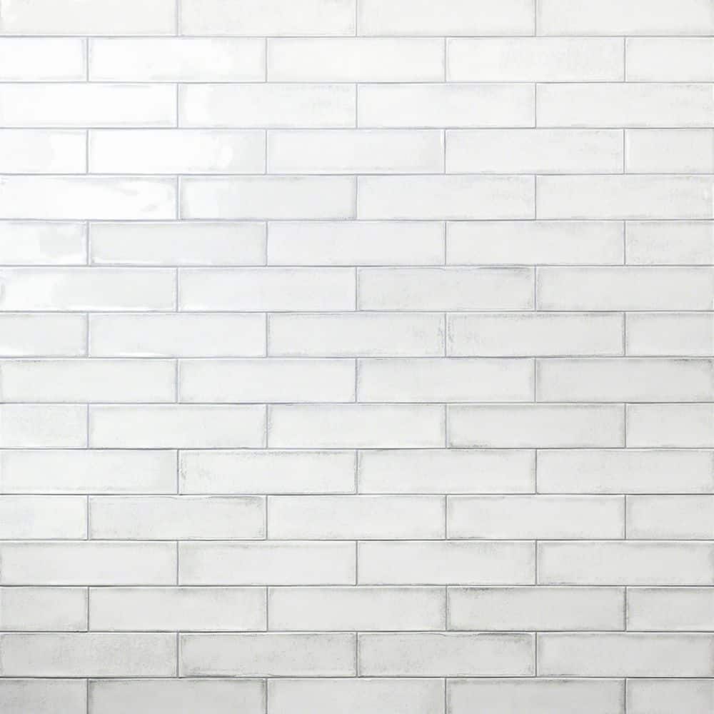 A single green leaf against a white background.