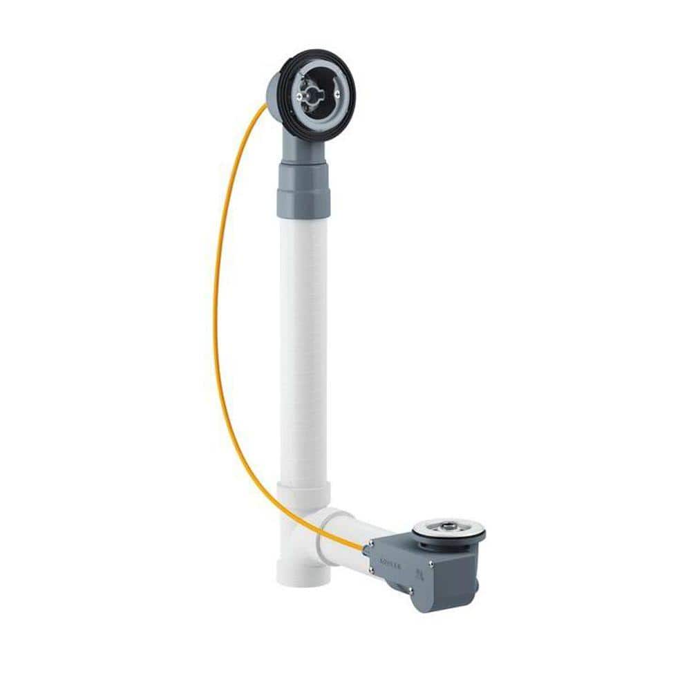 A single green leaf against a white background.