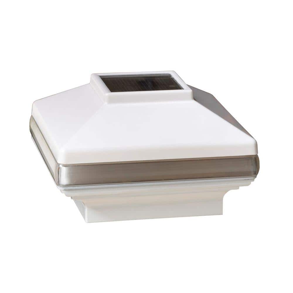 A single green leaf against a white background.