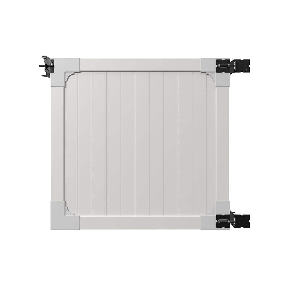 A single green leaf against a white background.