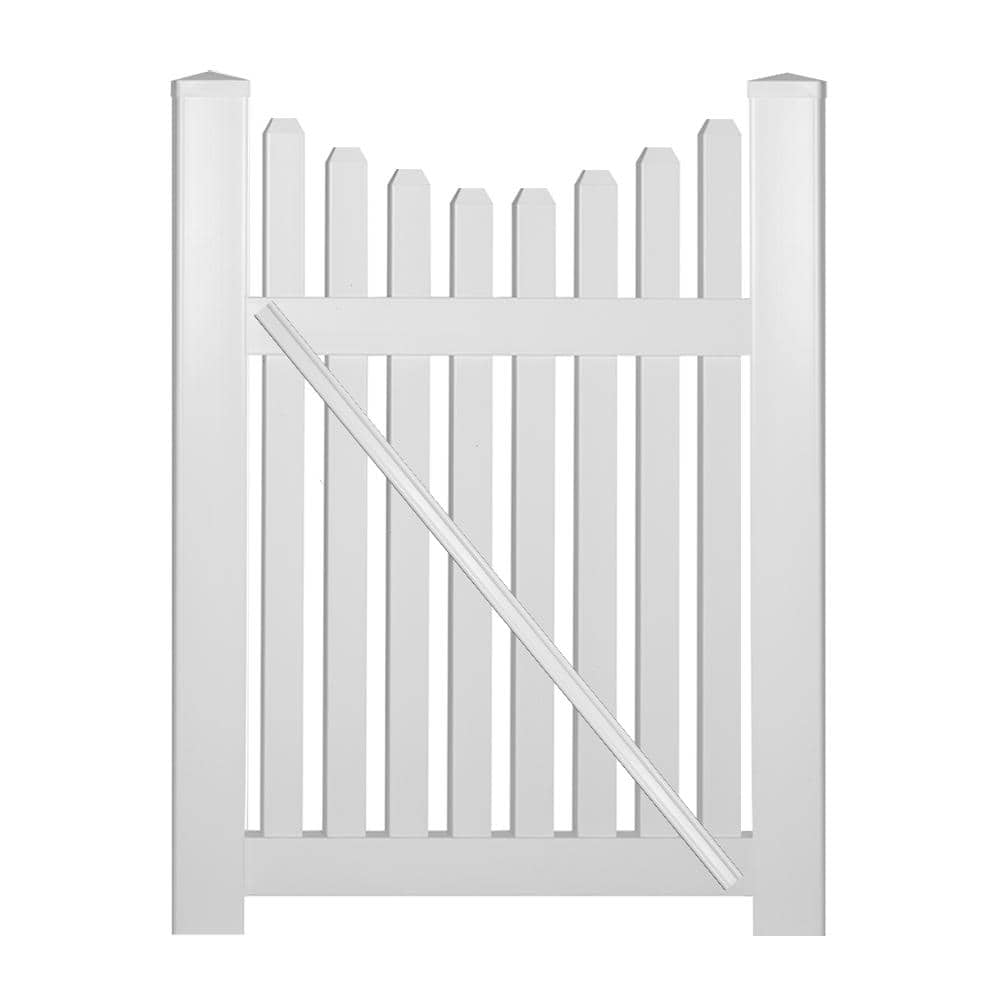 A single green leaf against a white background.