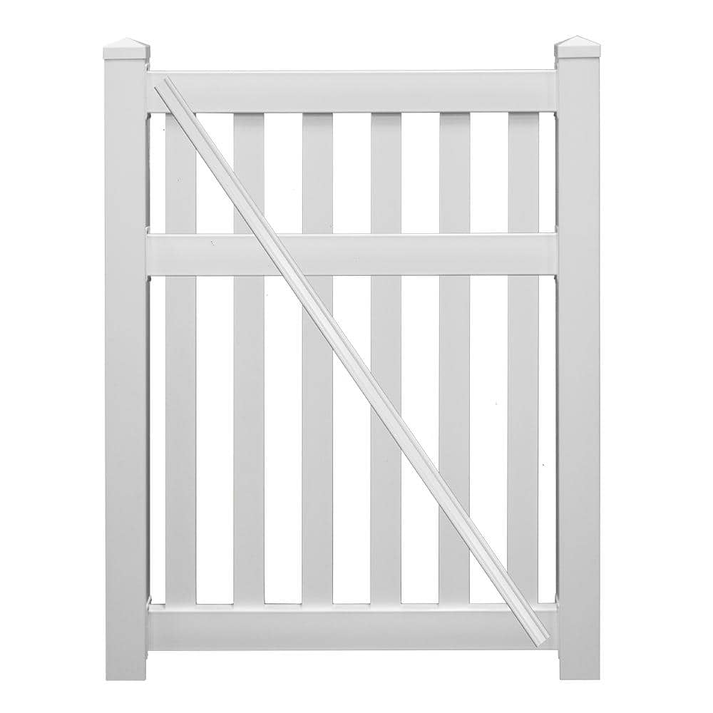 A single green leaf against a white background.