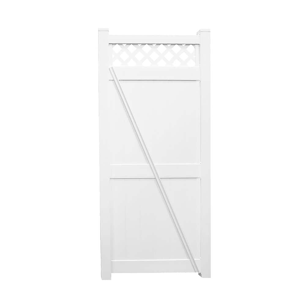 A single green leaf against a white background.